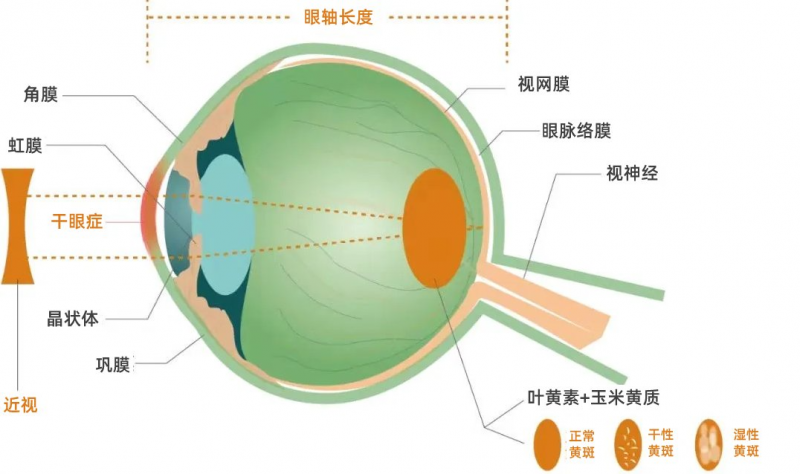 微信圖片_20241210153120